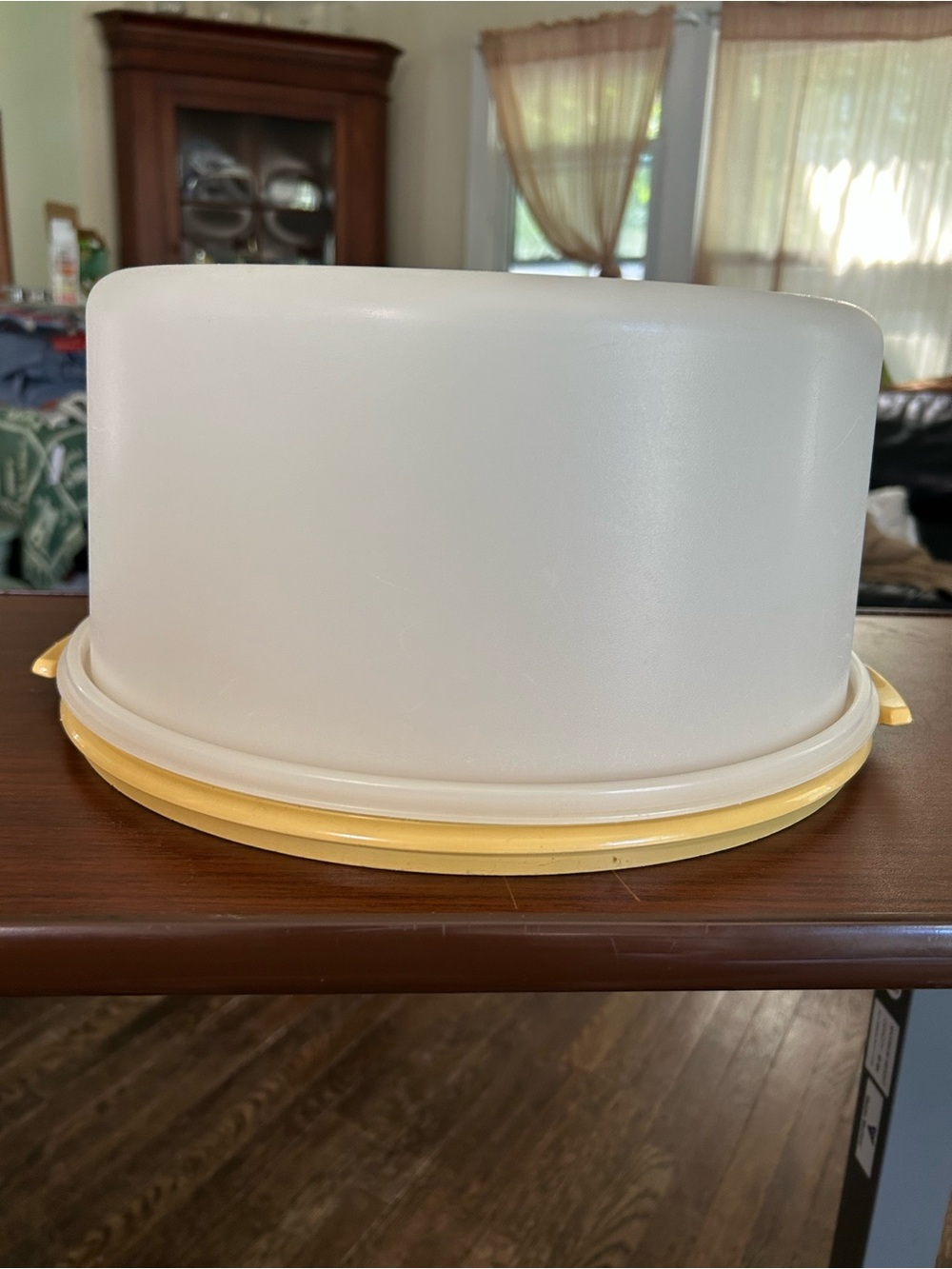 Vintage Tupperware Maxi cake taker 12 x 15 x 6” made in USA, #1256-2,